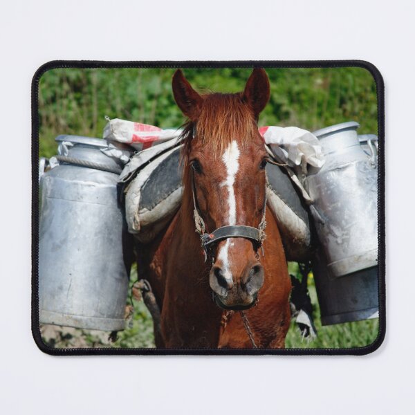 Item preview, Work horse designed and sold by Gaspar Avila.