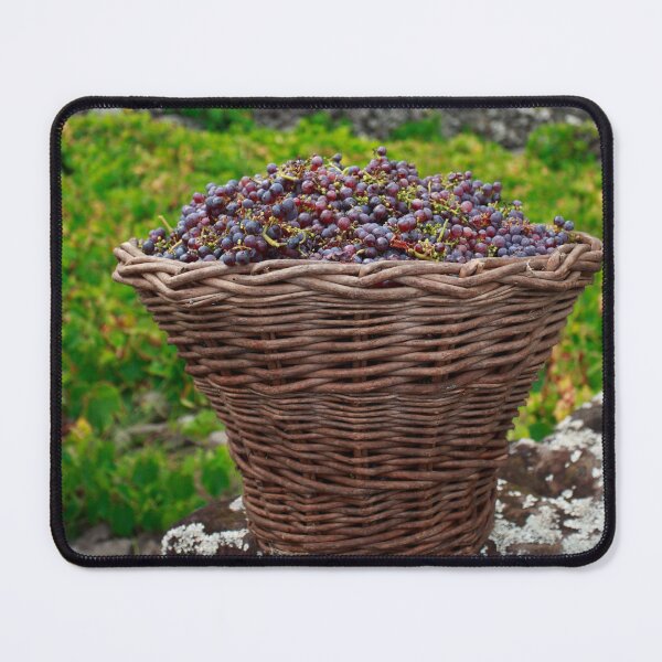 Item preview, Grape harvest designed and sold by Gaspar Avila.