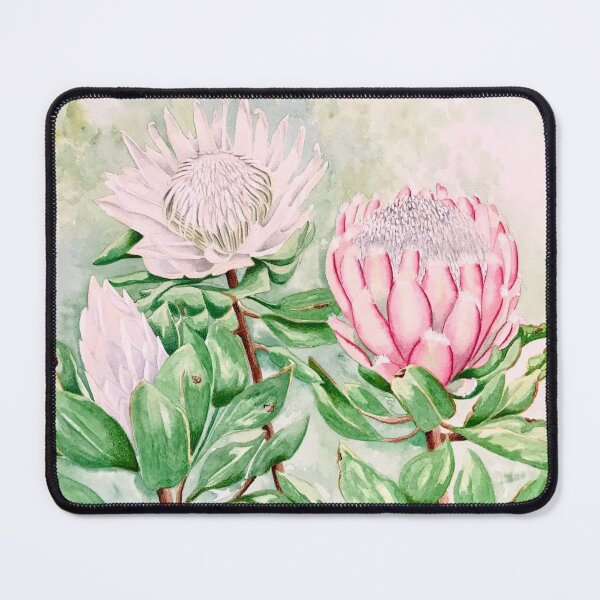 Item preview, Proteas fine art, white and pink painted  in watercolour  designed and sold by A Sweet  Fragrance Art.