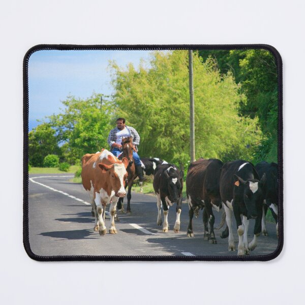 Item preview, Farmer and cows designed and sold by Gaspar Avila.