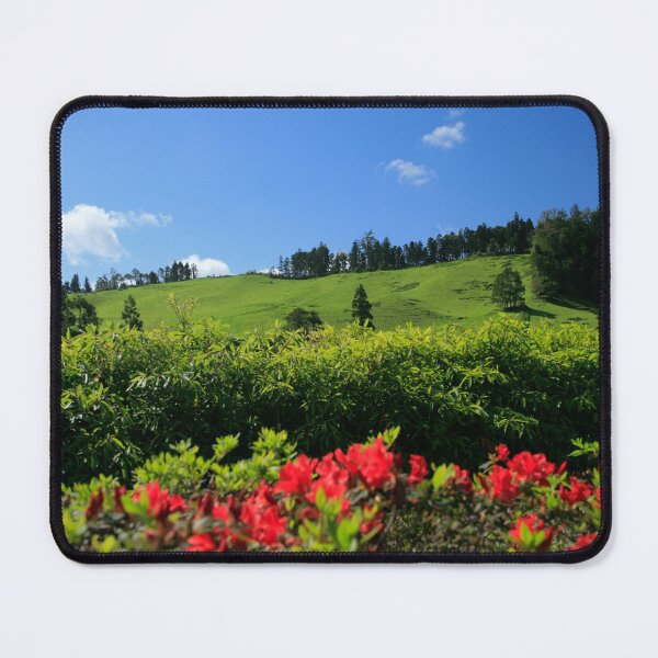 Item preview, Springtime landscape designed and sold by Gaspar Avila.