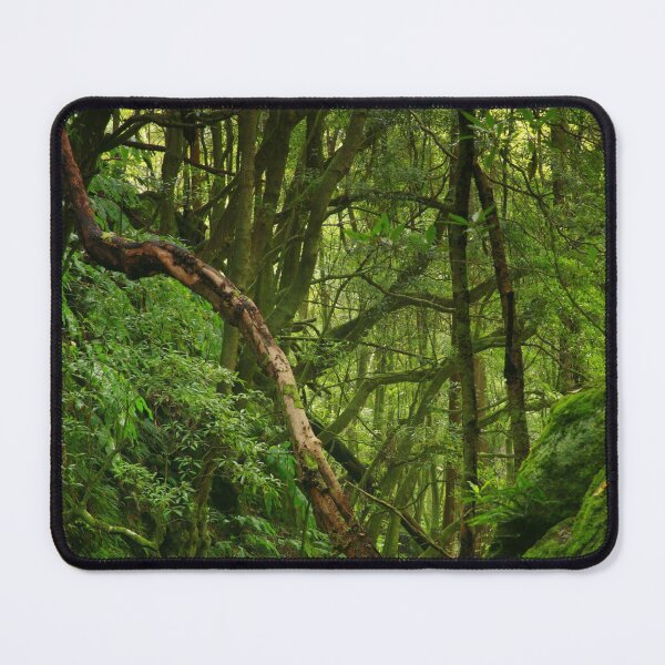 Item preview, Forest designed and sold by Gaspar Avila.