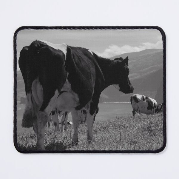 Item preview, Cows, Azores islands designed and sold by Gaspar Avila.