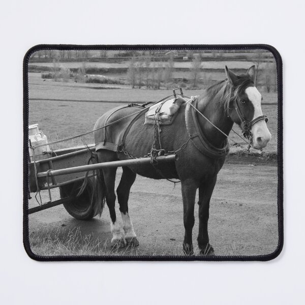 Item preview, Work horse and cart designed and sold by Gaspar Avila.