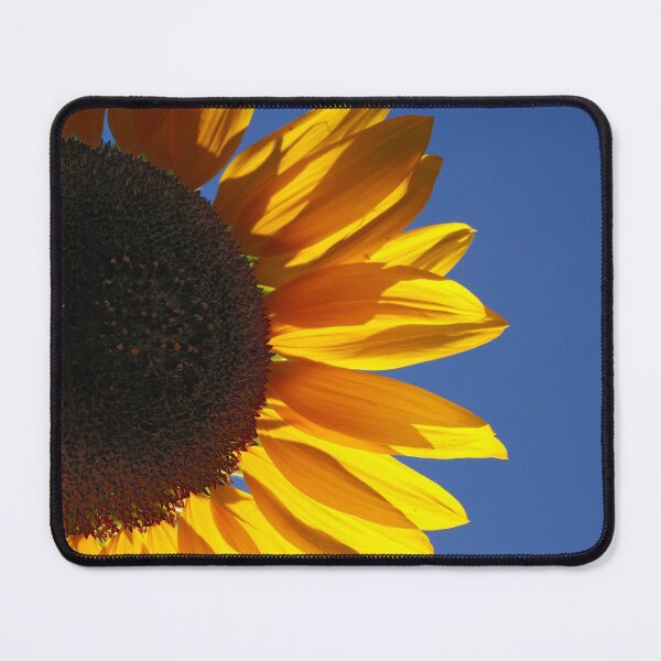 Item preview, Backlit sunflower designed and sold by Gaspar Avila.