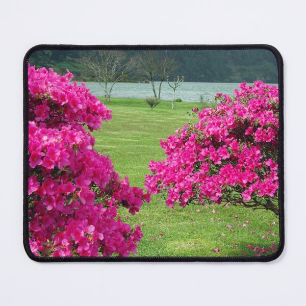 Item preview, Azaleas designed and sold by Gaspar Avila.