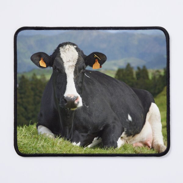 Item preview, Cow portrait designed and sold by Gaspar Avila.