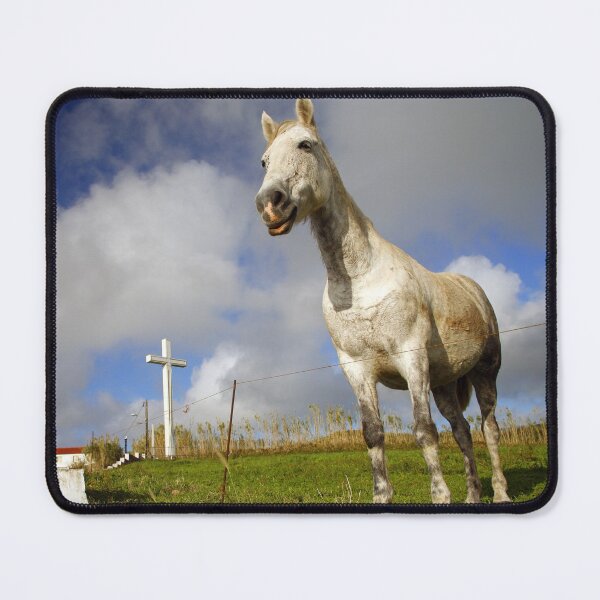 Item preview, Horse and chapel designed and sold by Gaspar Avila.