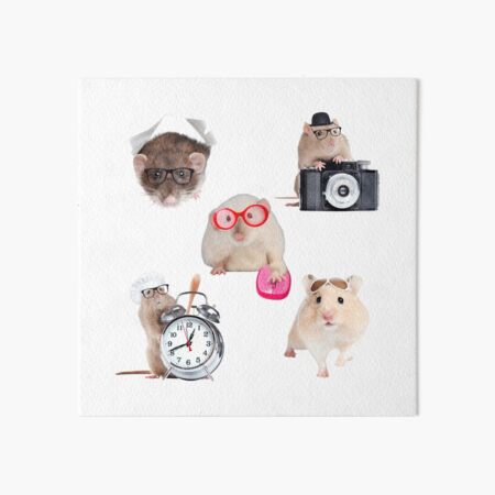 Impression Rigide Hamster Mignon Avec Des Fleurs Roses Par Cgroenewald Redbubble