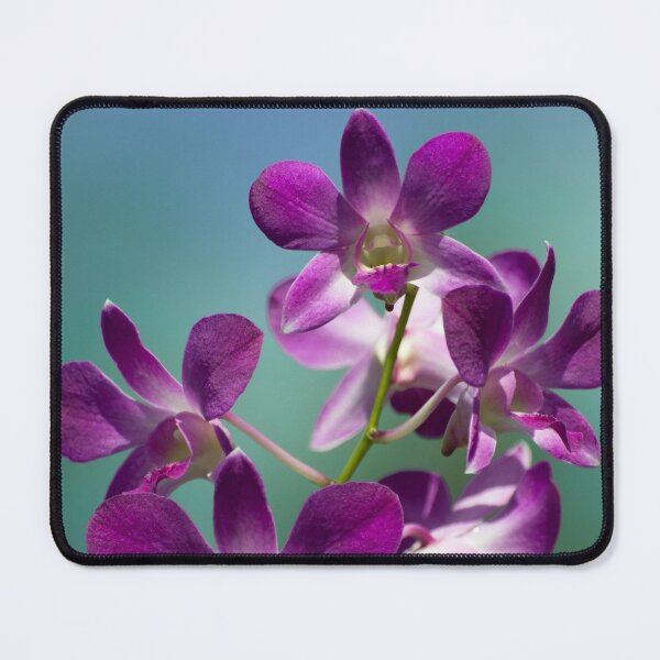Item preview, Purple Dendrobium orchid designed and sold by Zina Stromberg.