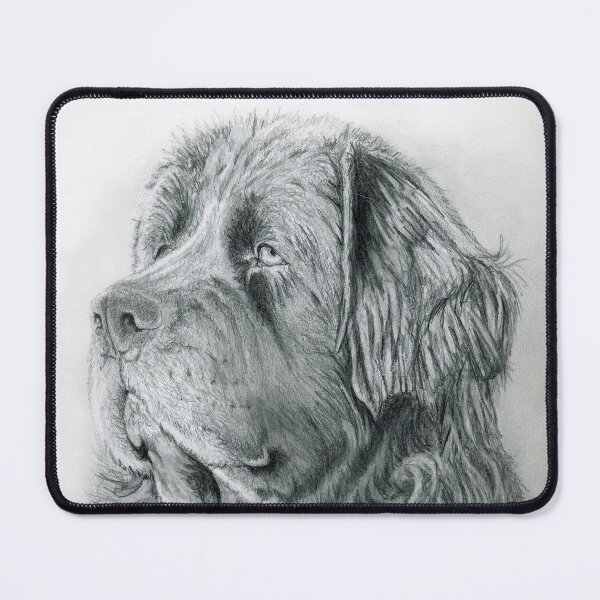 Item preview, Newfie drawing donation designed and sold by chstudios.