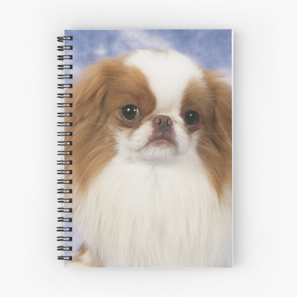 Item preview, Sweet Brown and White Japanese Chin Dog designed and sold by ScienceSource.