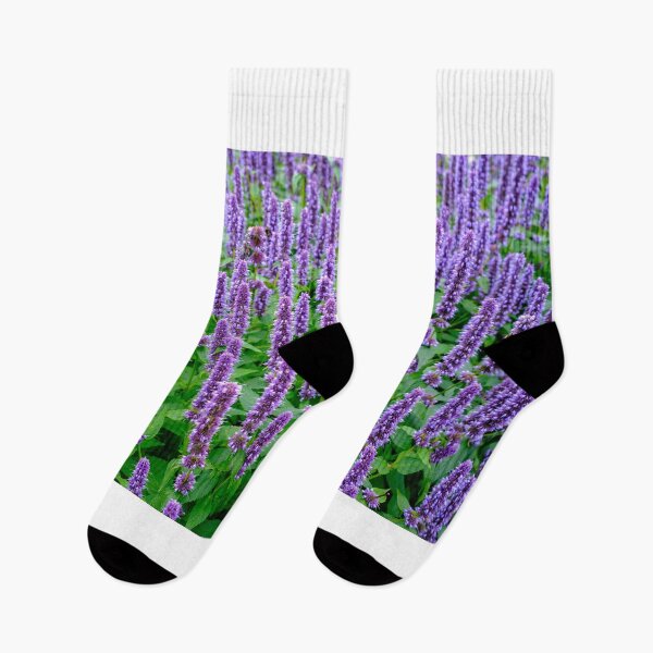 Item preview, Purple Anise Hyssop designed and sold by Nigel R Bell Photography.