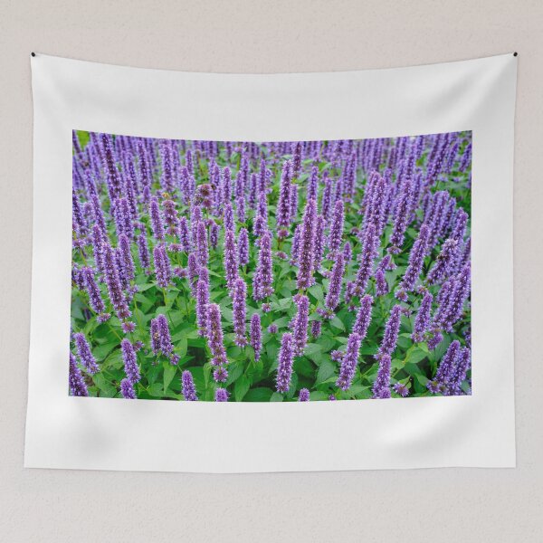 Item preview, Purple Anise Hyssop designed and sold by Nigel R Bell Photography.