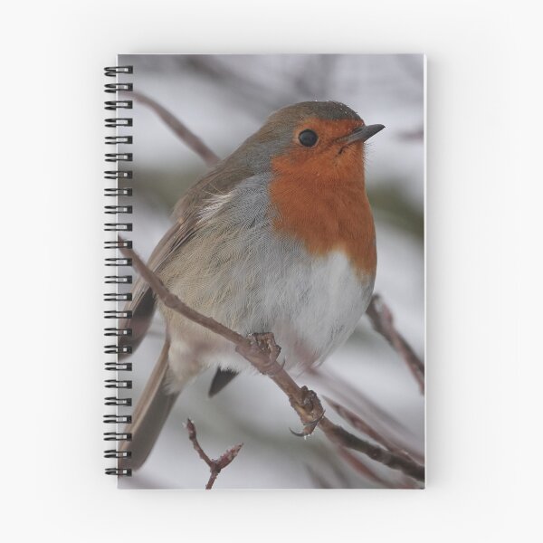 Item preview, Robin designed and sold by munros.