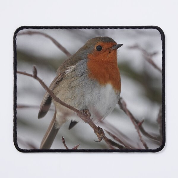 Item preview, Robin designed and sold by munros.
