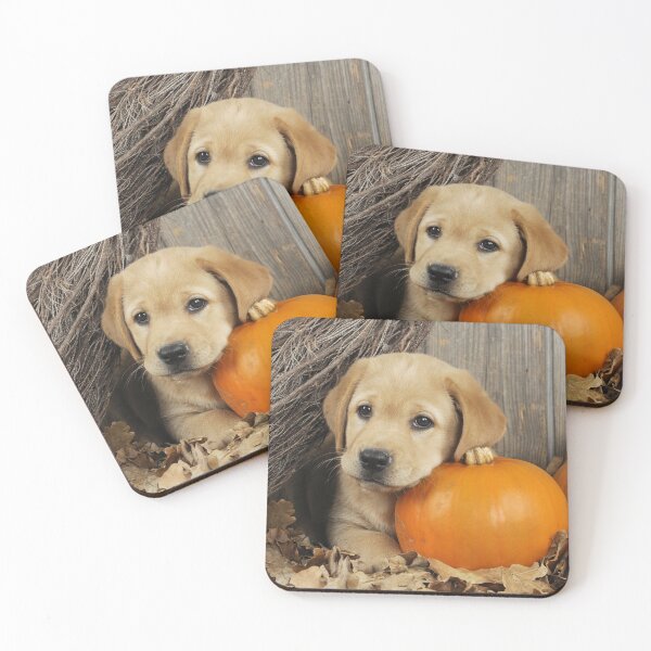 Item preview, Labrador Retriever Puppy Dog With a Pumpkin designed and sold by ScienceSource.