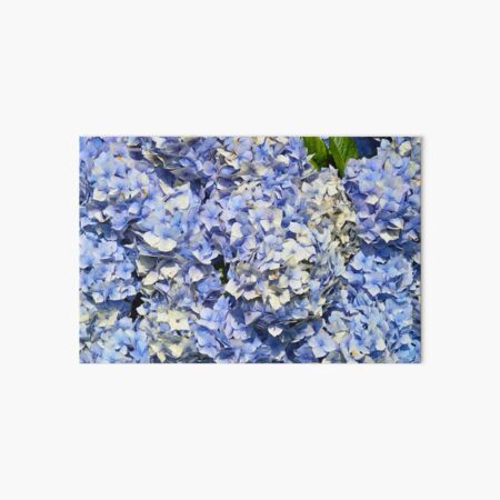 Blue Hydrangeas 1 Art Board Print