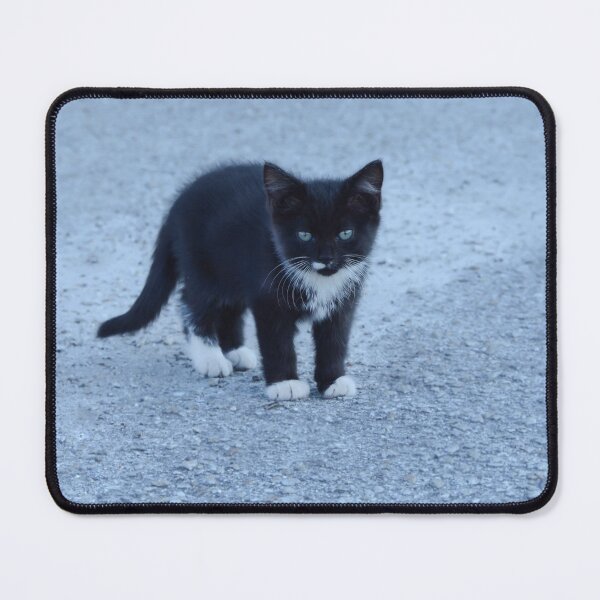 Item preview, Black and White Tuxedo kitten designed and sold by Zina Stromberg.