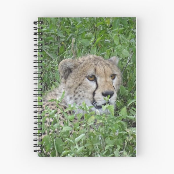 Item preview, Safari designed and sold by ygostyles.
