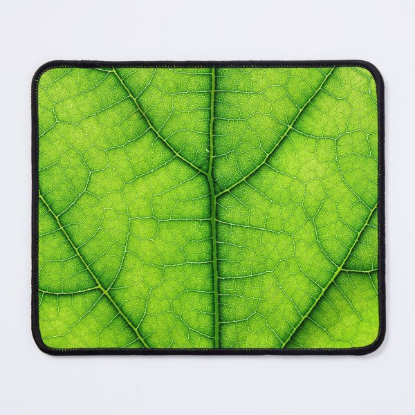 Item preview, green leaf macro designed and sold by tony4urban.