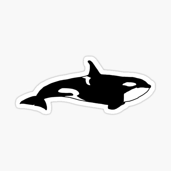 Artikel-Vorschau von Schwertwal (Orcinus orca), designt und verkauft von Ellie Davies.