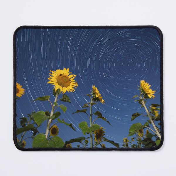 Item preview, Sunflowers lit by moonlight against startrail designed and sold by Lukasz Szczepanski.