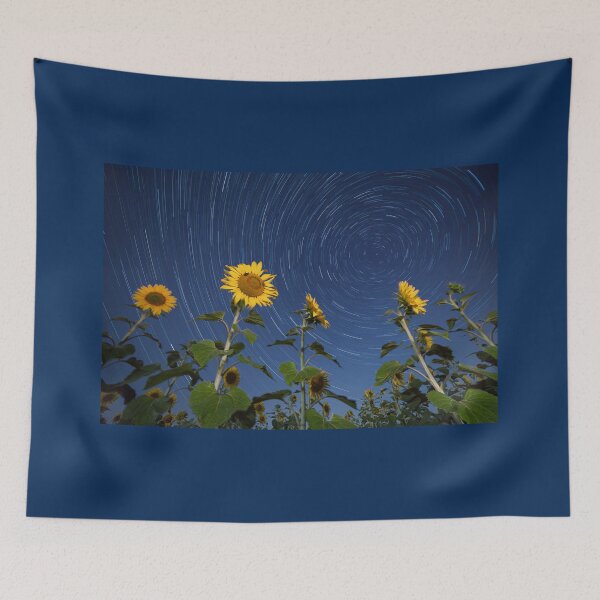 Item preview, Sunflowers lit by moonlight against startrail designed and sold by Lukasz Szczepanski.
