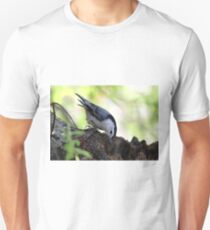 White-breasted nuthatch Unisex T-Shirt