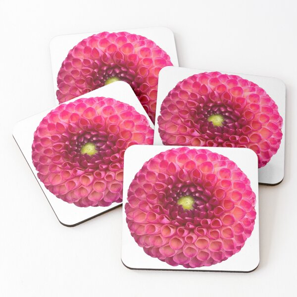 Item preview, Pink Dahlia Flower Still Life Floral Photography designed and sold by CottoVerdi.