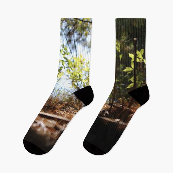 Item preview, H0037 Forest designed and sold by photographyemd.