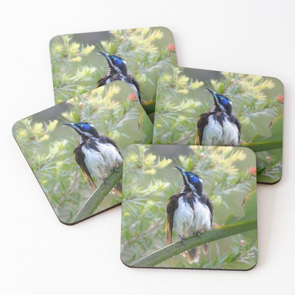 Item preview, Blue-faced honeyeater (Entomyzon cyanotis) - bath time in the sun designed and sold by Trent Townsend.