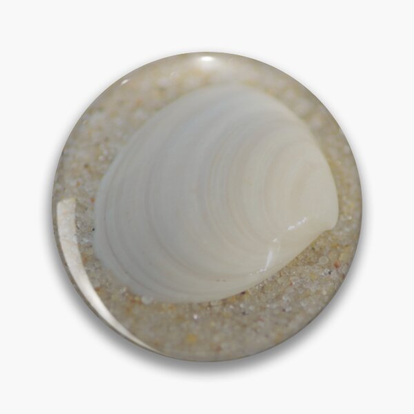 Item preview, White striped seashell on the sandy beach designed and sold by sebastienbaudry.