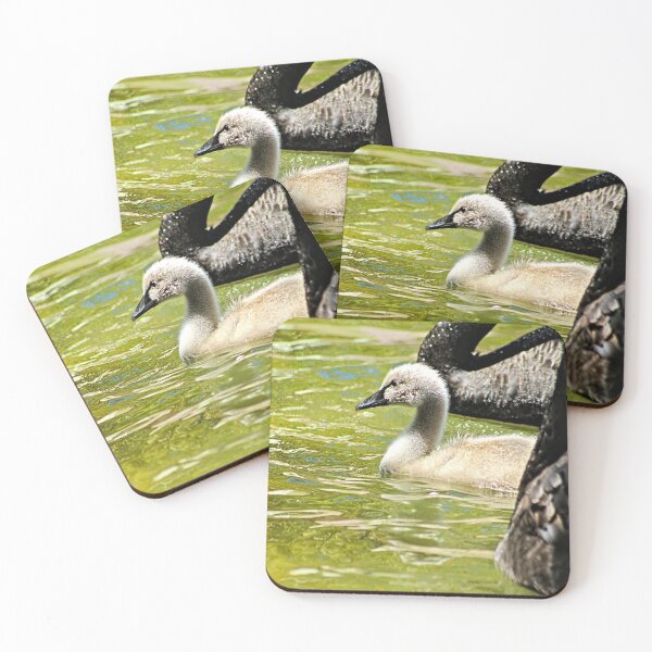 Item preview, Cygnet Black Swan Family Swans designed and sold by Anna Lemos.