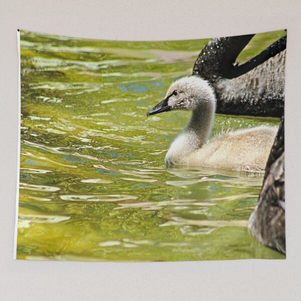Item preview, Cygnet Black Swan Family Swans designed and sold by Anna Lemos.