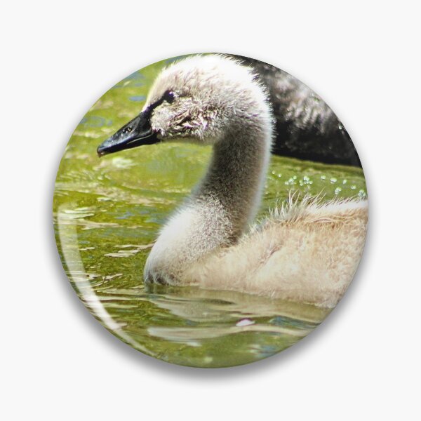Item preview, Cygnet Black Swan Family Swans designed and sold by Anna Lemos.