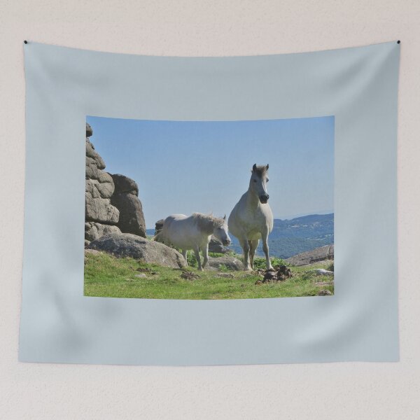Item preview, Ponis blancos de Dartmoor en Houndtor, REINO UNIDO designed and sold by lezvee.