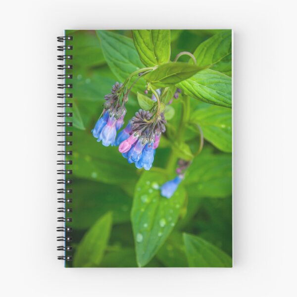 Item preview, Droplet designed and sold by WildSoulPhoto.