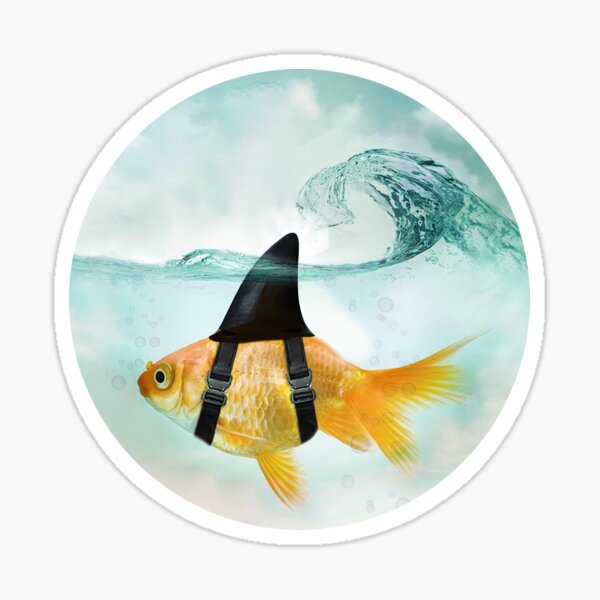 Item preview, Goldfish with a Shark Fin Riding a Wave designed and sold by Vin  Zzep.