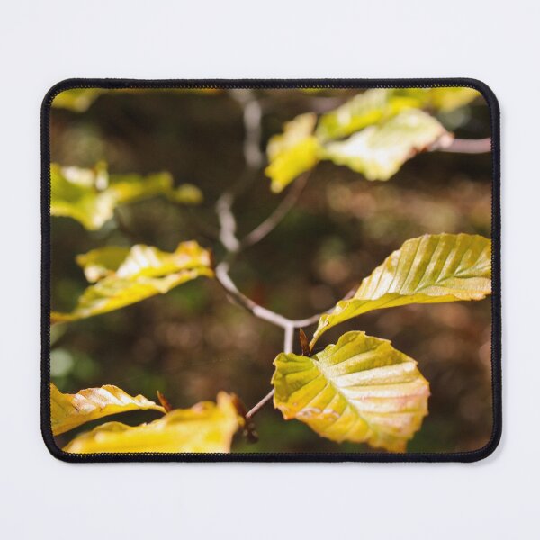 Item preview, H0032 Autumn Leaves designed and sold by photographyemd.