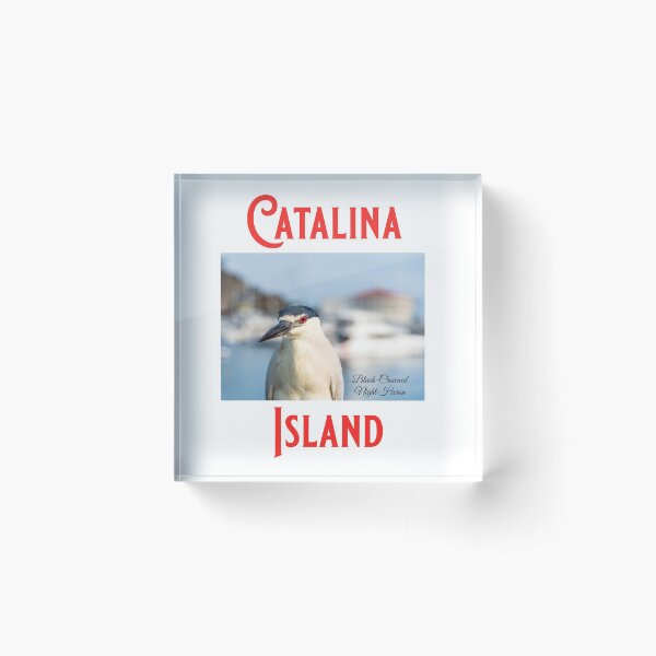 Item preview, Black-Crowned Night Heron Catalina Island designed and sold by articlave.