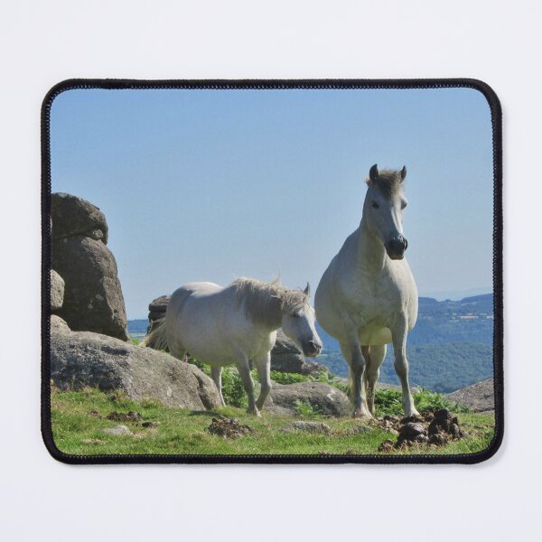 Item preview, White Dartmoor Ponies At Houndtor, UK designed and sold by lezvee.
