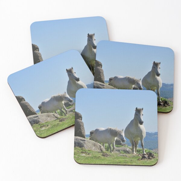 Item preview, White Dartmoor Ponies At Houndtor, UK designed and sold by lezvee.