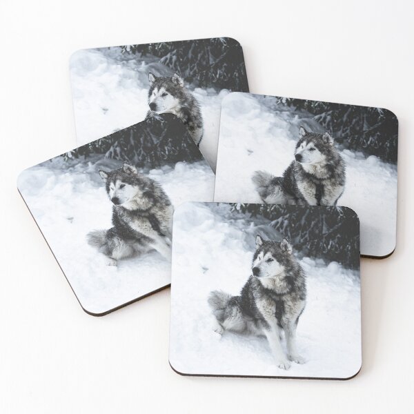 Item preview, Malamute Dog Waiting on a Snow Field  designed and sold by Danny Wanders.
