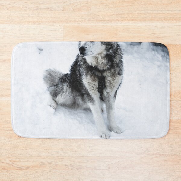 Item preview, Malamute Dog Waiting on a Snow Field  designed and sold by Danny Wanders.