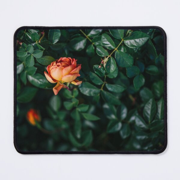 Item preview, Winter Rose designed and sold by Chee Sim.