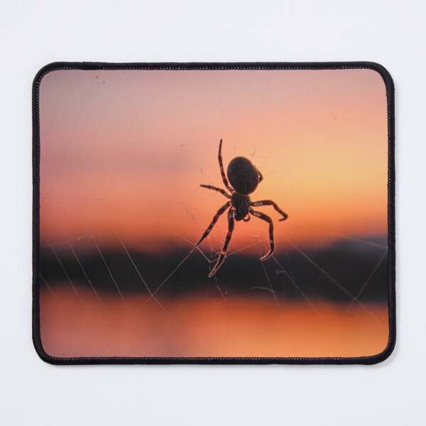 Item preview, H0021 Spider designed and sold by photographyemd.