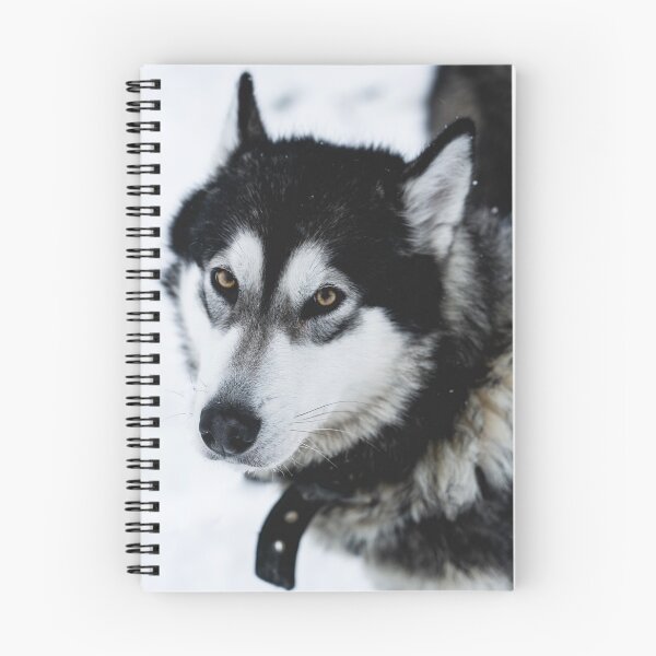 Item preview, Malamute Dog On a Snow Field designed and sold by Danny Wanders.