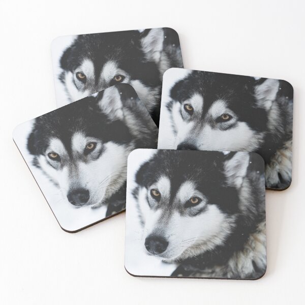 Item preview, Malamute Dog On a Snow Field designed and sold by Danny Wanders.