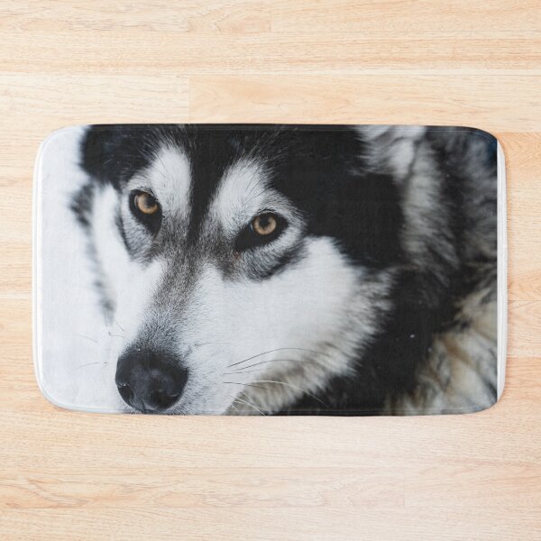 Item preview, Malamute Dog On a Snow Field designed and sold by Danny Wanders.